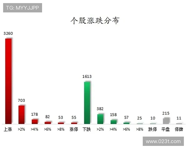 深圳极限运动队意识表现的深度数据分析与探讨
